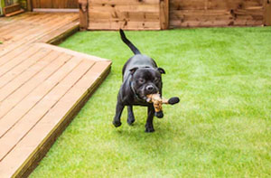 Artificial Grass Installers Near Me Bearsted