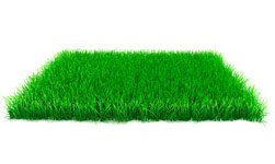Burnham-on-Crouch Artificial Grass Installers Near Me