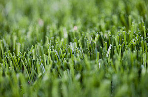 Artificial Grass Installer Near Me Batley