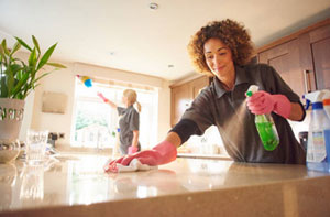 Domestic Cleaning Near Paignton Devon