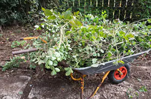 Garden Maintenance St Albans
