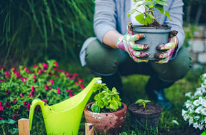 Gardening Services Bedlington (NE22)