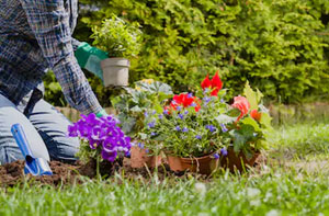 Gardening Services Peasedown St John Somerset (BA2)