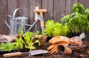 Redcar Gardener