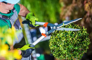 Gardeners in Castle Donington