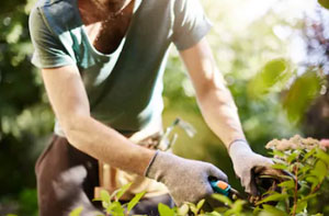 Gardeners in Groby