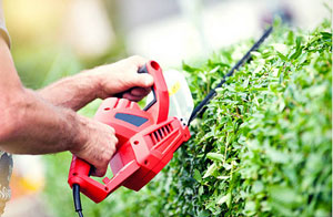 Gardeners in Brixham