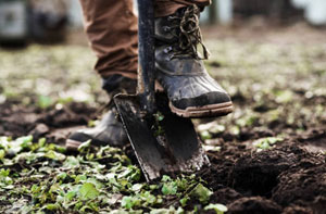 Gardening Services Oswestry (SY10)
