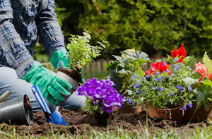 Gardening Bilsthorpe