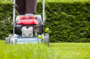 Gardening Castle Donington