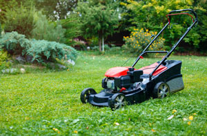 Gardening Milford on Sea