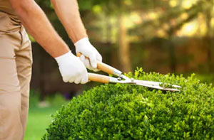 Gardeners in the Ferryhill Area