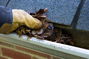 Gutter Cleaning Mansfield