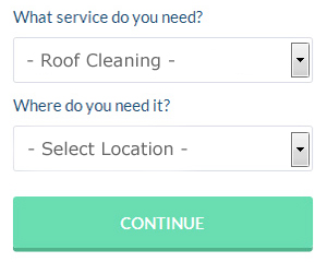 Rainham Roof Cleaning Services (01708)