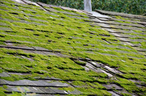 Roof Moss Removal Crowthorne UK (01344)