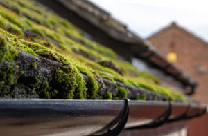 Roof Moss Removal Llandudno UK (01492)