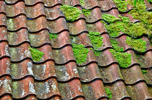 Roof Moss Removal Gillingham UK (01634)