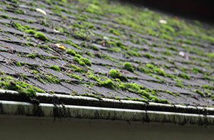 Roof Moss Removal Near Me Earl Shilton