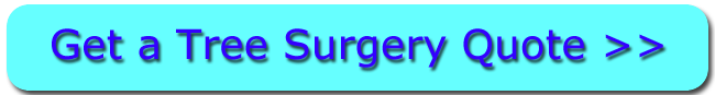 Click For Weybridge Tree Surgery Quotes