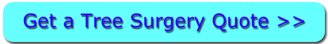 Click For Ore Tree Surgery Quotes