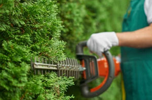 Hedge Trimming Inverness