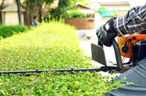 Hedge Trimming Tonbridge