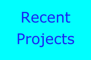 Eccles Tree Surgery Projects