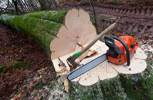 Tree Removal Wythall