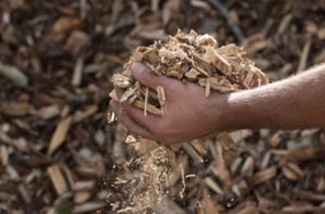 Wood Chipping Ulverston