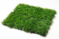 Nuneaton Artificial Grass Installers Near Me