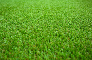 Artificial Grass Installer Near Me Tynemouth