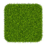 Worthing Artificial Grass Installers Near Me