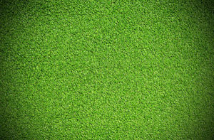 Artificial Grass Installer Near Me Cottingham