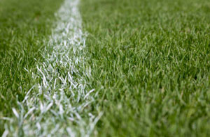 Artificial Grass Installers Near Me Walton-on-Thames