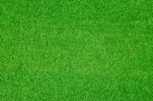 Artificial Grass Installer Near Me Todmorden