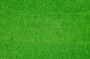 Artificial Grass Installer Near Me Wombwell