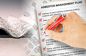 Asbestos Removal Near Me Plymouth