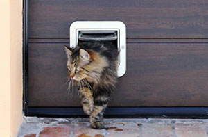 Local Cat Flap Installers Cat Flap Fitters Addlestone Surrey