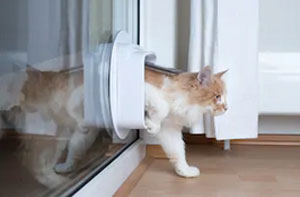 Local Cat Flap Installers Cat Flap Fitters Chichester West Sussex