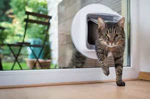 Cat Flap Installers Stowmarket Suffolk