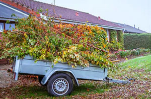 Local Garden Clearance Services Garden Clearance Services Hull East Yorkshire