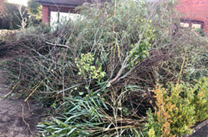 Local Garden Clearance Services Garden Clearance Services Cleethorpes Lincolnshire