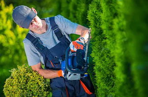Local Garden Maintenance Services Garden Maintenance Chichester West Sussex