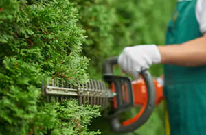 Local Garden Maintenance Services Garden Maintenance Bishops Stortford Hertfordshire