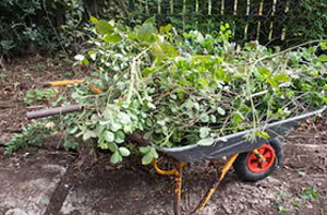 Garden Maintenance Fenstanton