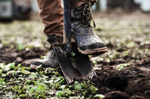 Carrickfergus Gardening Services (BT38)