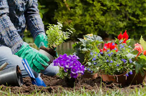 Gardening Services Cullompton Area (EX15)