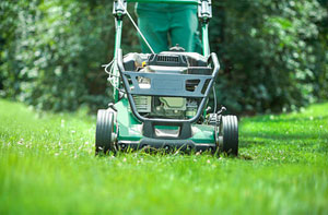 Gardening Porthleven