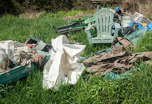 Garden Maintenance Brandon