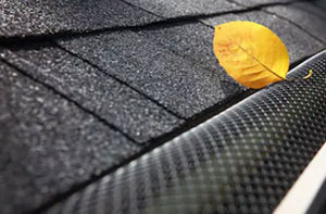 Gutter Maintenance Near Me Chippenham